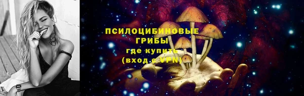 эйфоретик Алексин