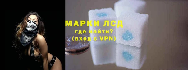 хмурый Алзамай