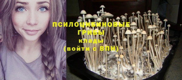 хмурый Алзамай
