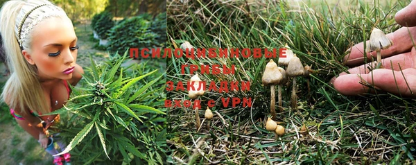 мяу мяу кристалл Нягань