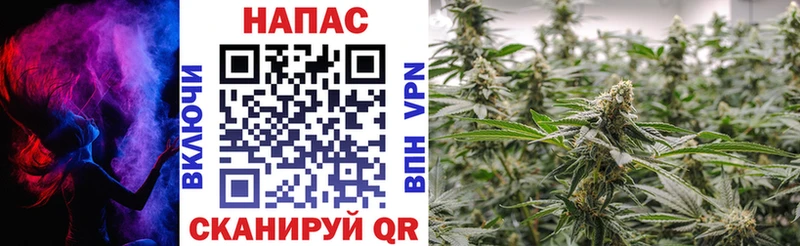 Конопля THC 21% Цоци-Юрт
